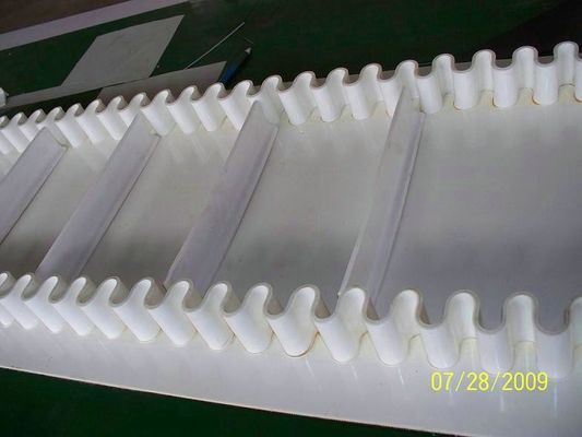 मुक्त नमूने के लिए चीन कारखाने से खाद्य उद्योग के लिए Sidewall कन्वेयर बेल्ट