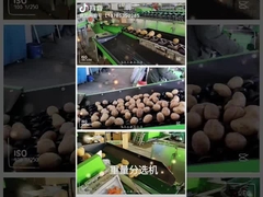 फल धोने और छँटाई मशीन