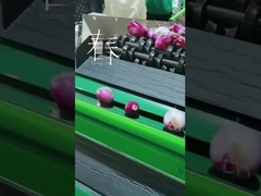 फल सब्जी ग्रेडर को अनुकूलित करें