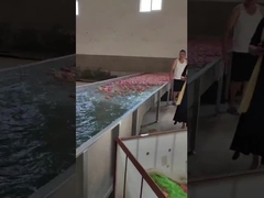 नाशपाती एवोकैडो पूर्ण स्वचालित ग्रेडिंग मशीन