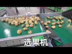 फल सब्जी ग्रेडर को अनुकूलित करें