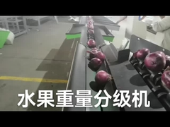 स्वचालित इलेक्ट्रॉनिक फल सॉर्टर और वजन मशीन