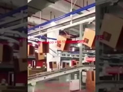 पैकिंग हाउस के लिए कार्टन पैकिंग प्रणाली