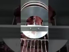 पीयू मछली की हड्डियों को अलग करने वाला बेल्ट, हड्डियों को हटाने वाला बेल्ट, कन्वेयर बेल्ट