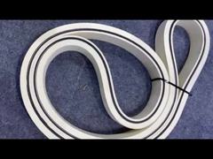 रबर मछली की हड्डी अलग करने वाली कन्वेयर बेल्ट